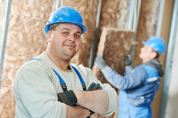 Best Geographic-Specific Insulation Services in Savannah, MO