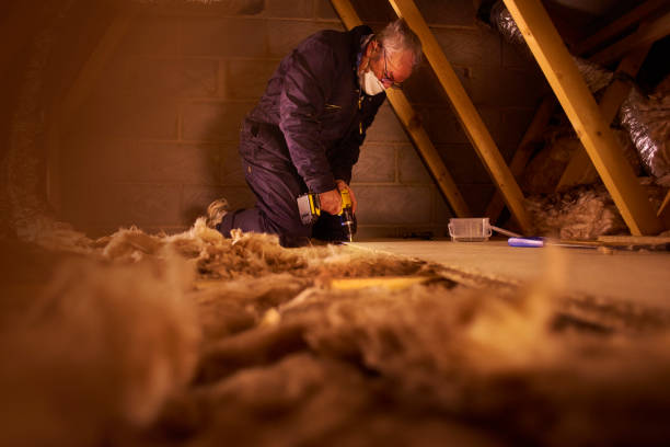 Best Insulation Maintenance and Repair in Savannah, MO
